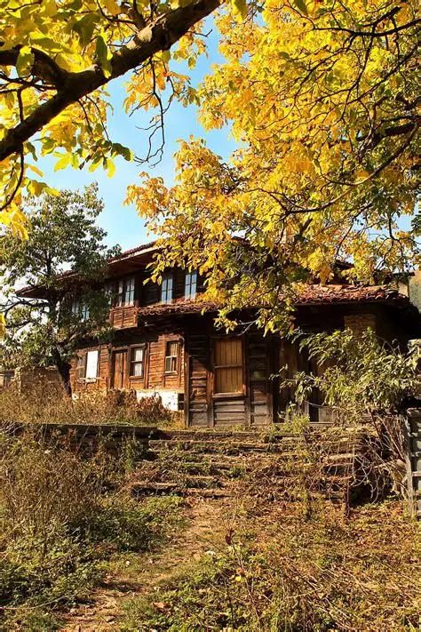 Cover image for 【今日之星】犰狳媽媽如何為孩子找尋適合的學習環境？